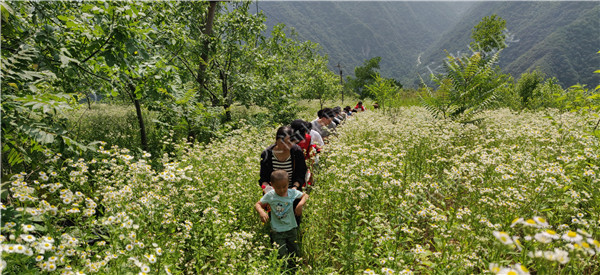 西安团建活动--出游赏花