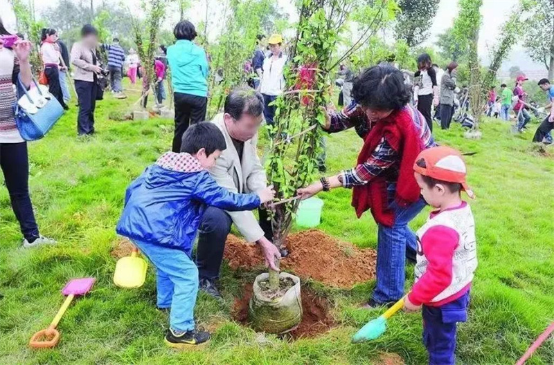 终南山寨植树活动