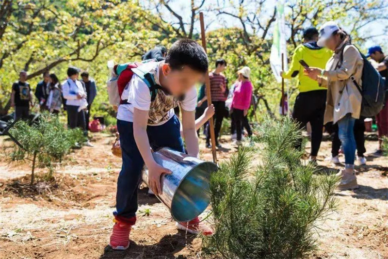 终南山寨植树活动